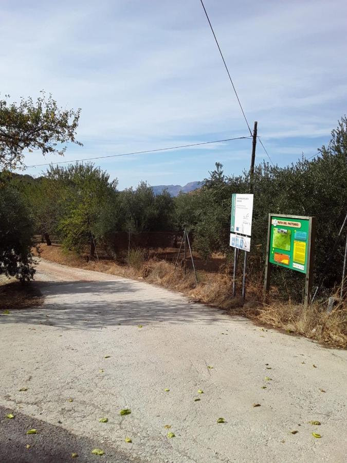 Hacienda La Buena Vida B&B En Appartementen Casita Almendas La Carrera de la Vina Exterior foto