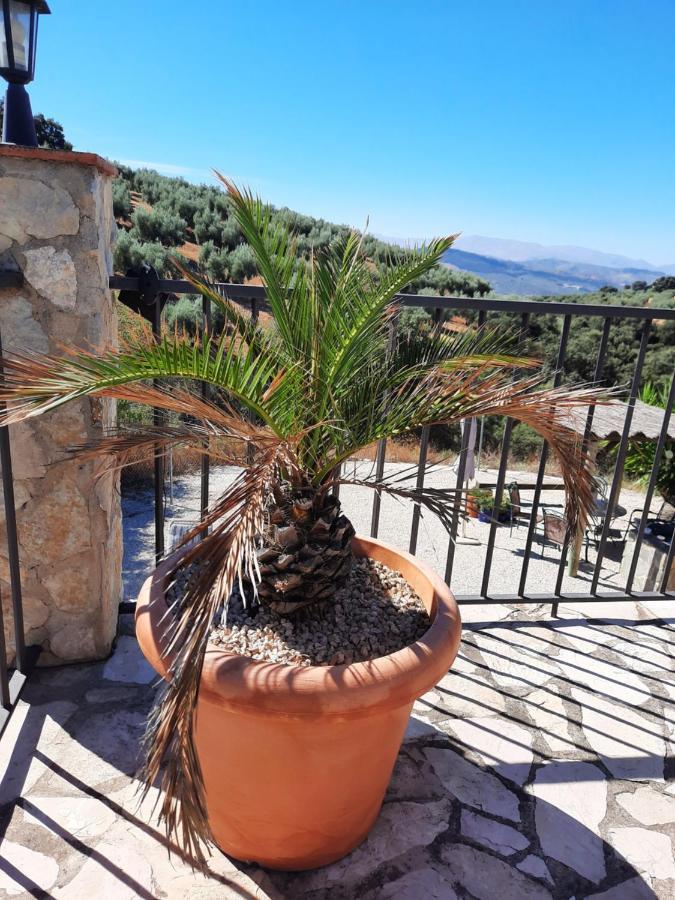 Hacienda La Buena Vida B&B En Appartementen Casita Almendas La Carrera de la Vina Exterior foto